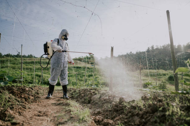 Best Pest Prevention Services  in Platte, SD