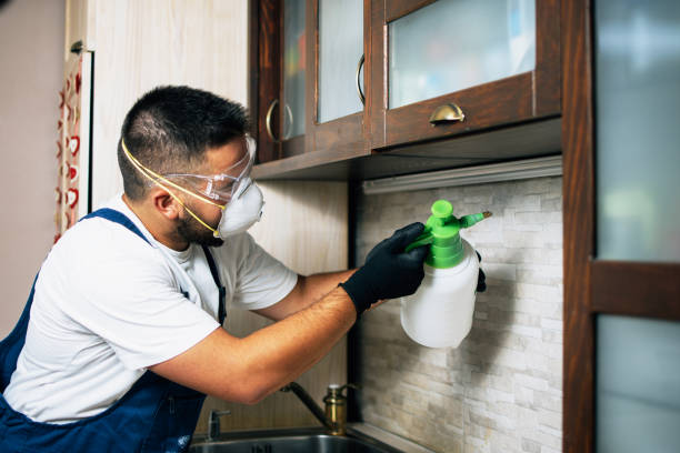 Best Exterminator Services  in Platte, SD