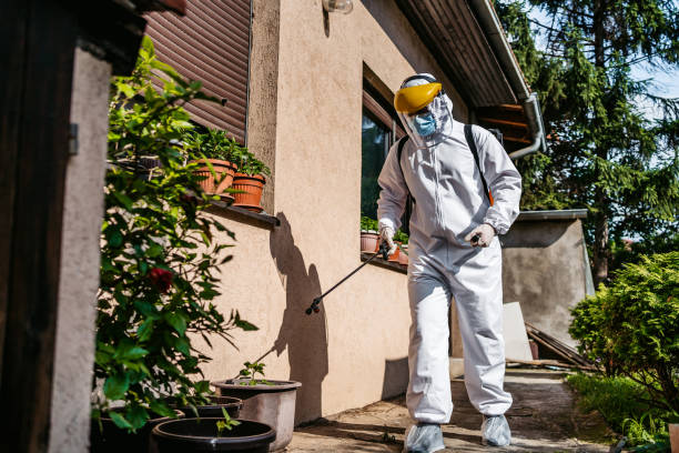 Best Best Pest Control Companies  in Platte, SD