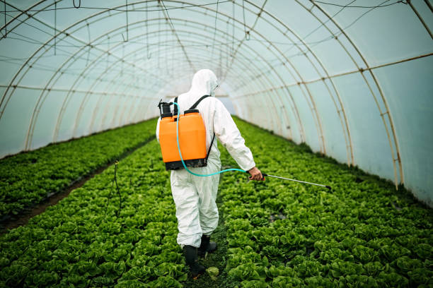 Best Pest Control Treatment  in Platte, SD