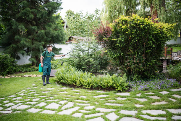 Wasp Removal Services in Platte, SD