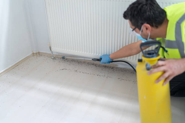 Professional Pest Control in Platte, SD