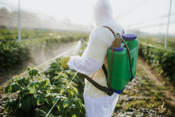Best Local Pest Control Services  in Platte, SD